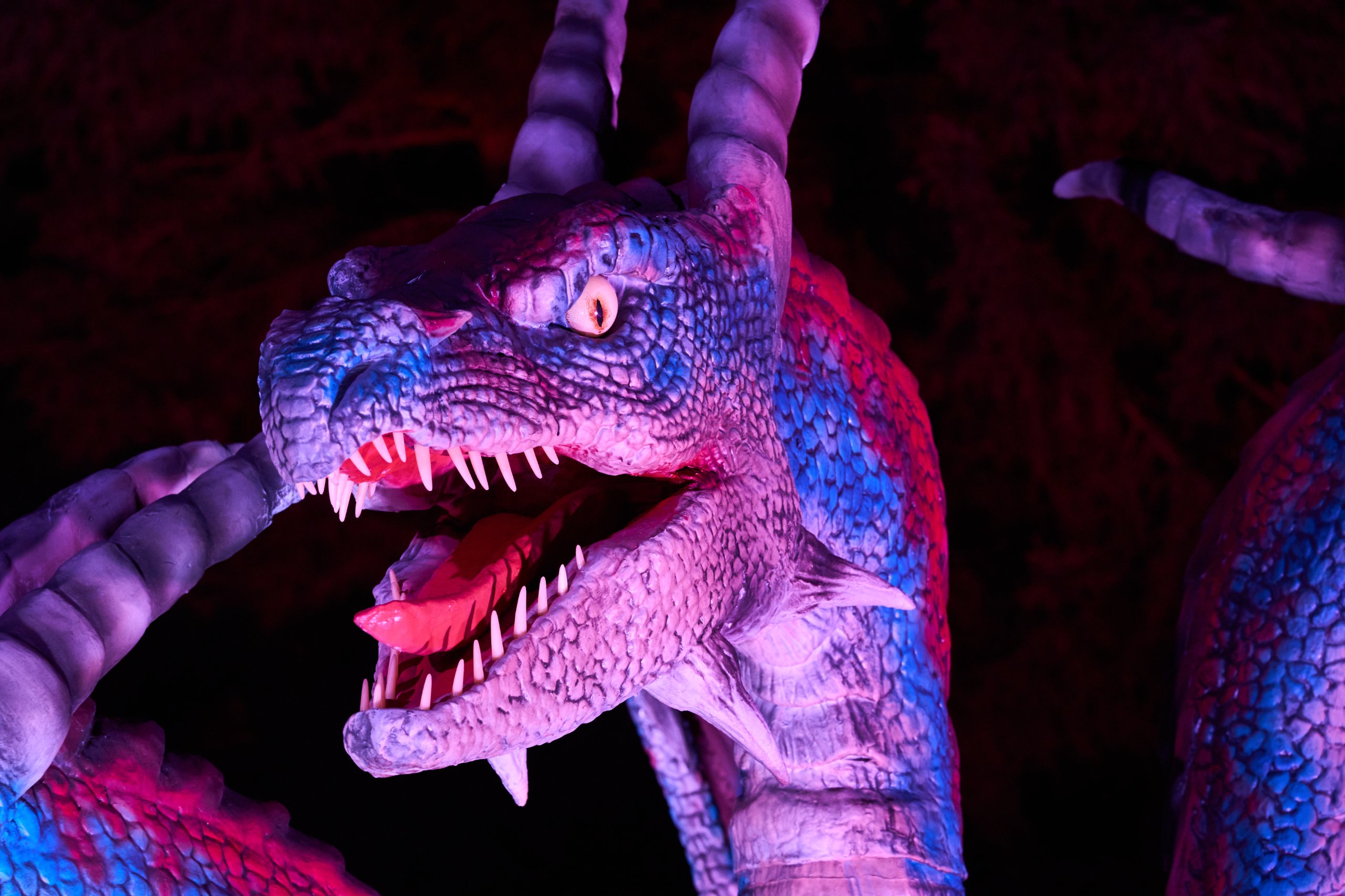 2025 02 04 Parkleuchten 0167